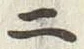 字二