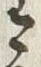 Character 金