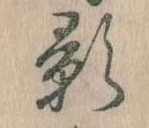 位置 確認된 影