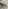 字ブ