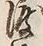 Chữ 渡