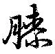已定位膝