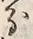 “知”字