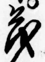 已定位茂