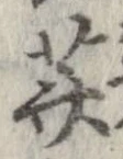 薺の位置