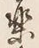 “安”字