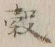 文字 穀