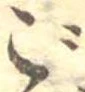㐌定位ご