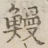 已定位鰻