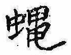 Đã định vị 蝿