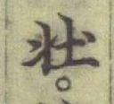 글자 壯