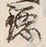 文字 徳