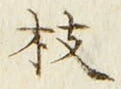 文字 枝
