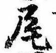 Located 尾