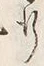 文字 行