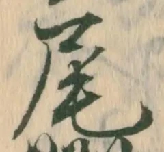 Character 尾