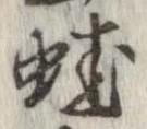 位置 確認된 蛙