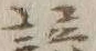 Character 諺