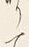 Character り