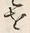 𡨸捨