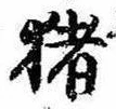 已定位猪