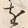 字村