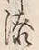 Character 流