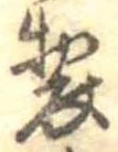 位置 確認된 製