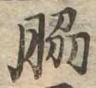 位置定マレル脇