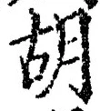 字胡