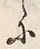 Character 同