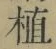 文字 植