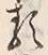 Character 類