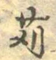 位置 確認된 苅