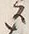 “遣”字