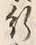 文字 行