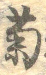 已定位菊