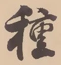 Chữ 種