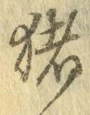 已定位猪