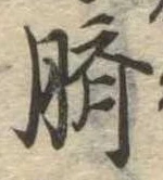 臍の位置