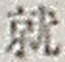 文字就