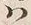 “他”字