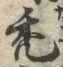 禿 위치 확인됨