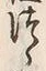 「ゝ」字