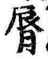 位置定マレル唇