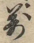 位置 確認된 未指定