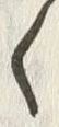 Character 少