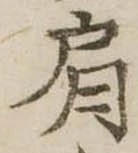 已定位肩