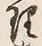 字理