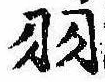 已定位羽